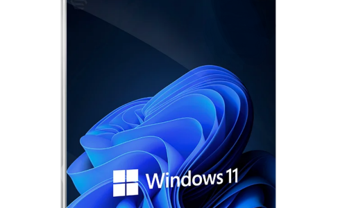 Licencias Windows 11 Pro